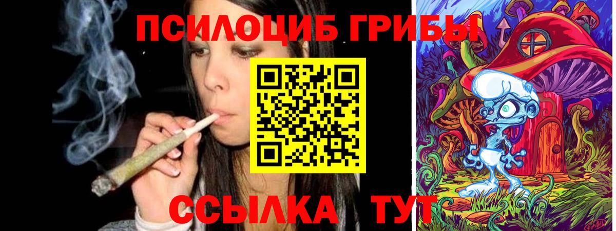 Псилоцибиновые грибы Cubensis  Вход с VPN  Нижнекамск  Псилоцибиновые грибы мухоморы 