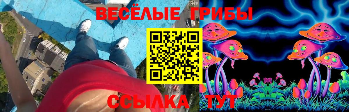 Псилоцибиновые грибы ЛСД Нижнекамск